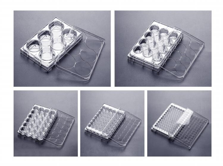 细胞培养板 细胞培养板