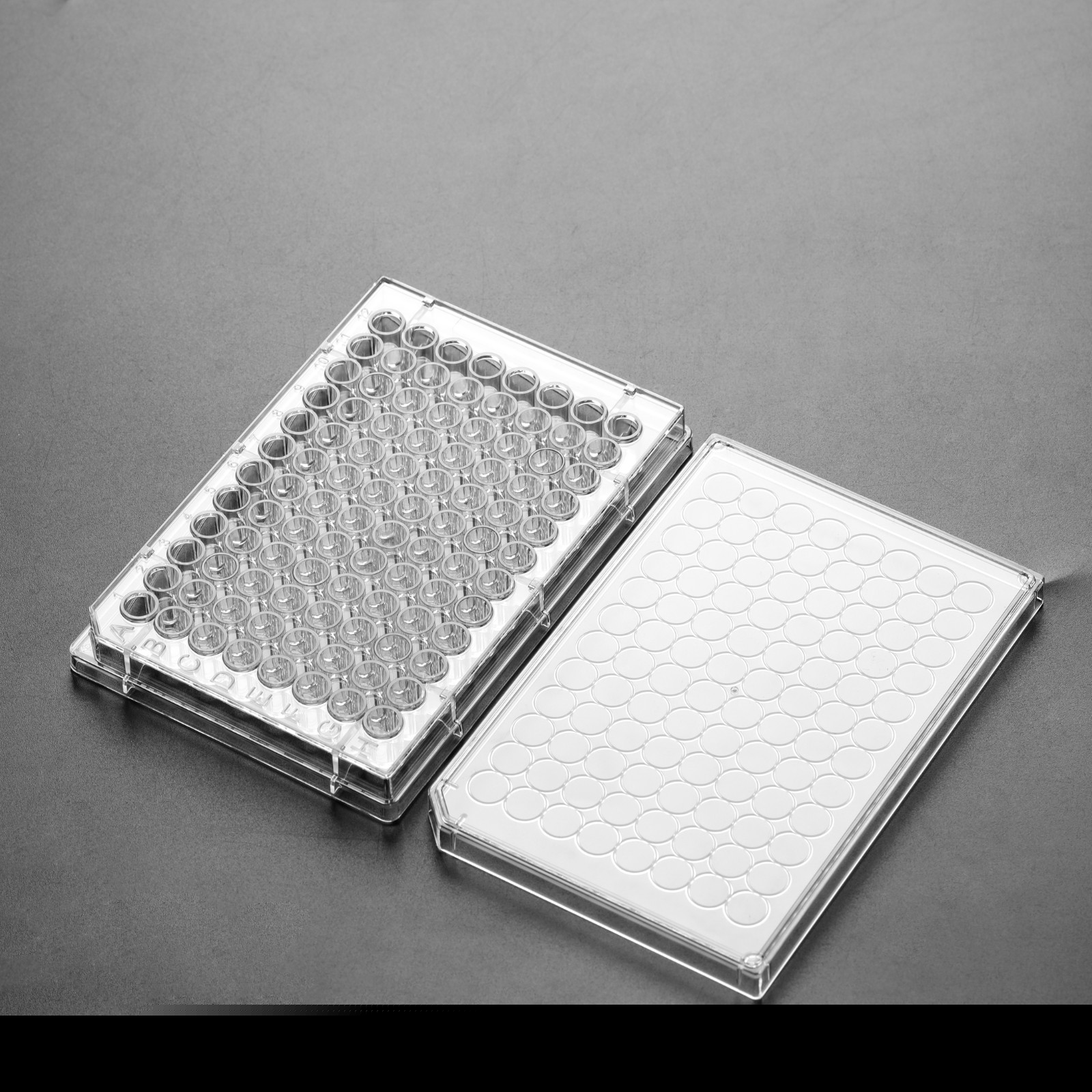 96孔细胞培养板