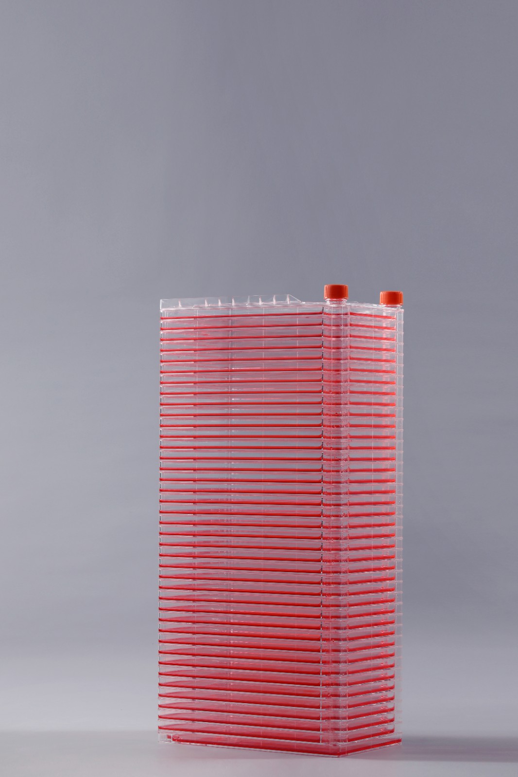 40层细胞工厂 40层细胞工厂