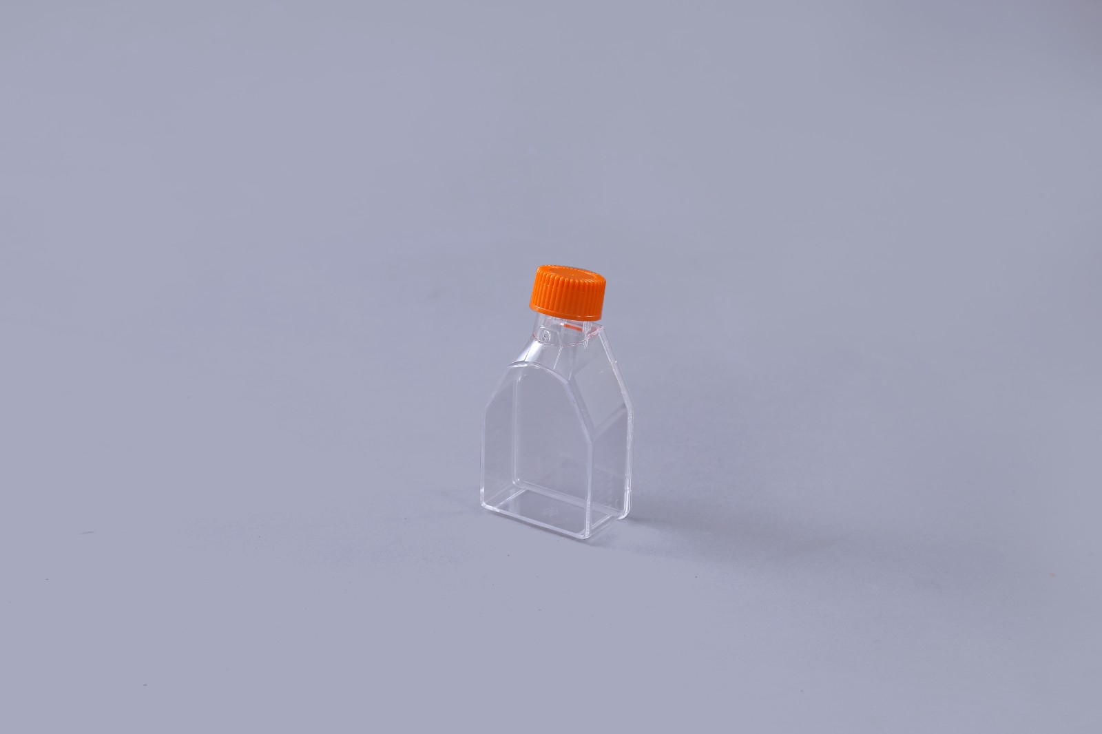 T25细胞培养瓶 T25细胞培养瓶