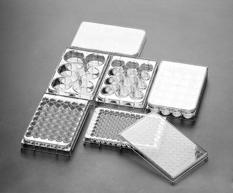 细胞培养板 细胞培养板