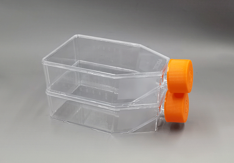 T75细胞培养瓶 T75细胞培养瓶