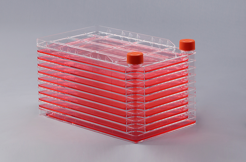 如何判断细胞工厂中细胞发生污染_富道细胞