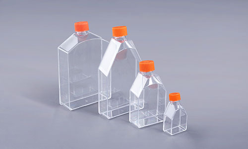 细胞培养方瓶适用于哪些细胞培养