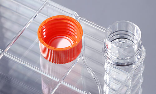 温度对细胞工厂内细胞的影响