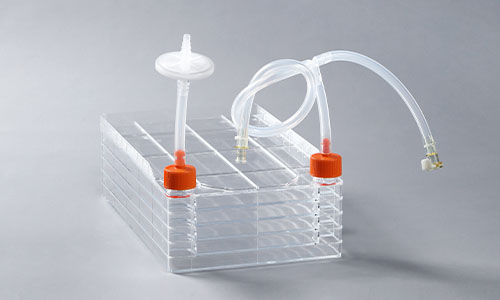 渗透压对细胞工厂内细胞的影响