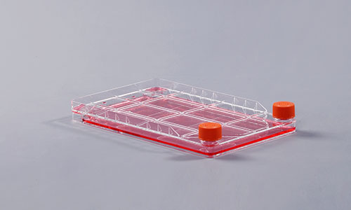 细胞工厂初始污染菌检测的意义 细胞工厂初始污染菌检测的意义