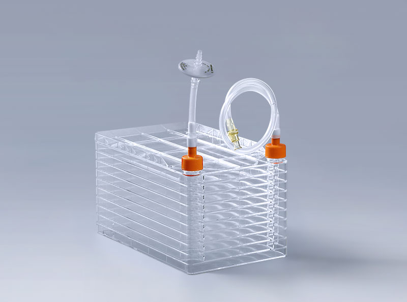 细胞工厂培养细胞常见的微生物污染有哪些