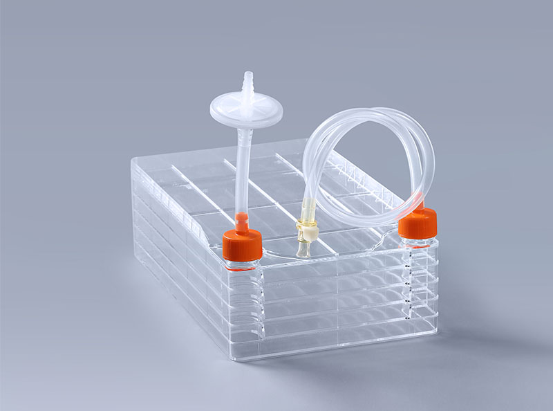 做好这四点细胞工厂的质量才有保障