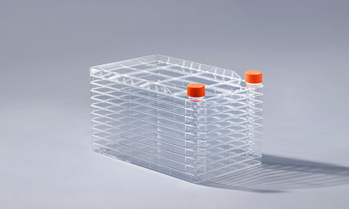 细胞工厂的两种不同表面