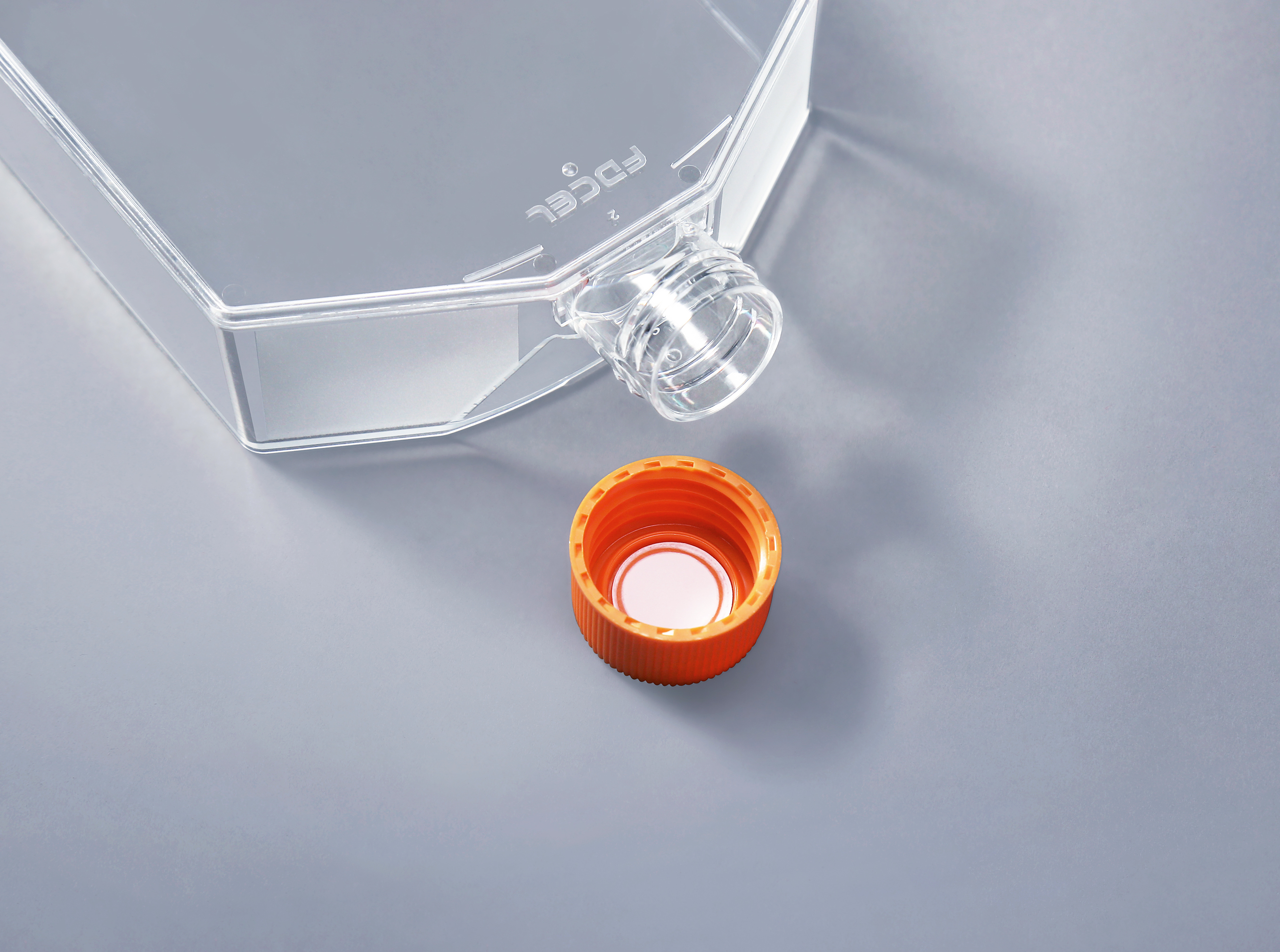 如何更好的消化细胞培养方瓶内的细胞 如何更好的消化细胞培养方瓶内的细胞