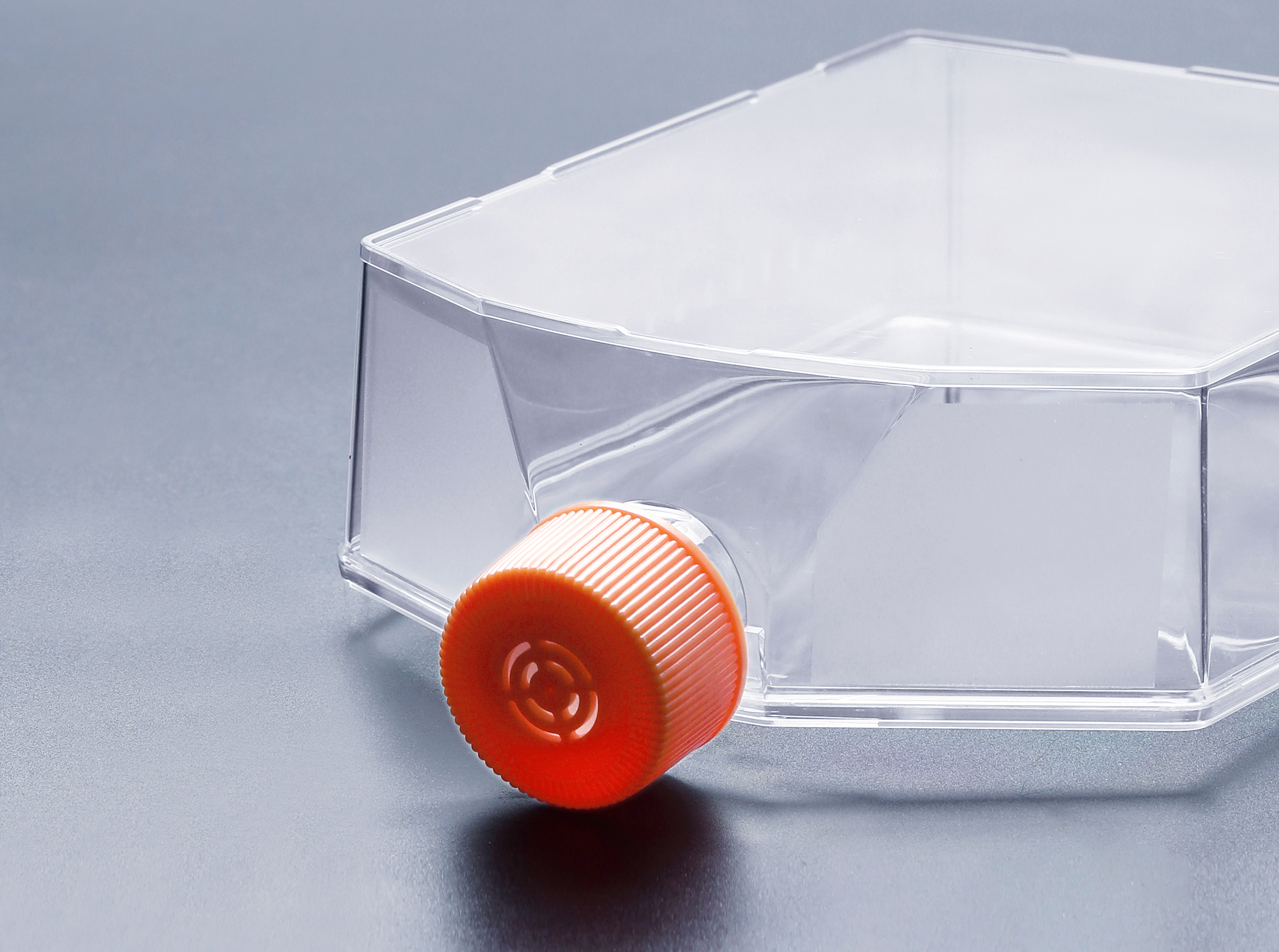 细胞培养瓶对干细胞在新药研发方面的应用_富道细胞