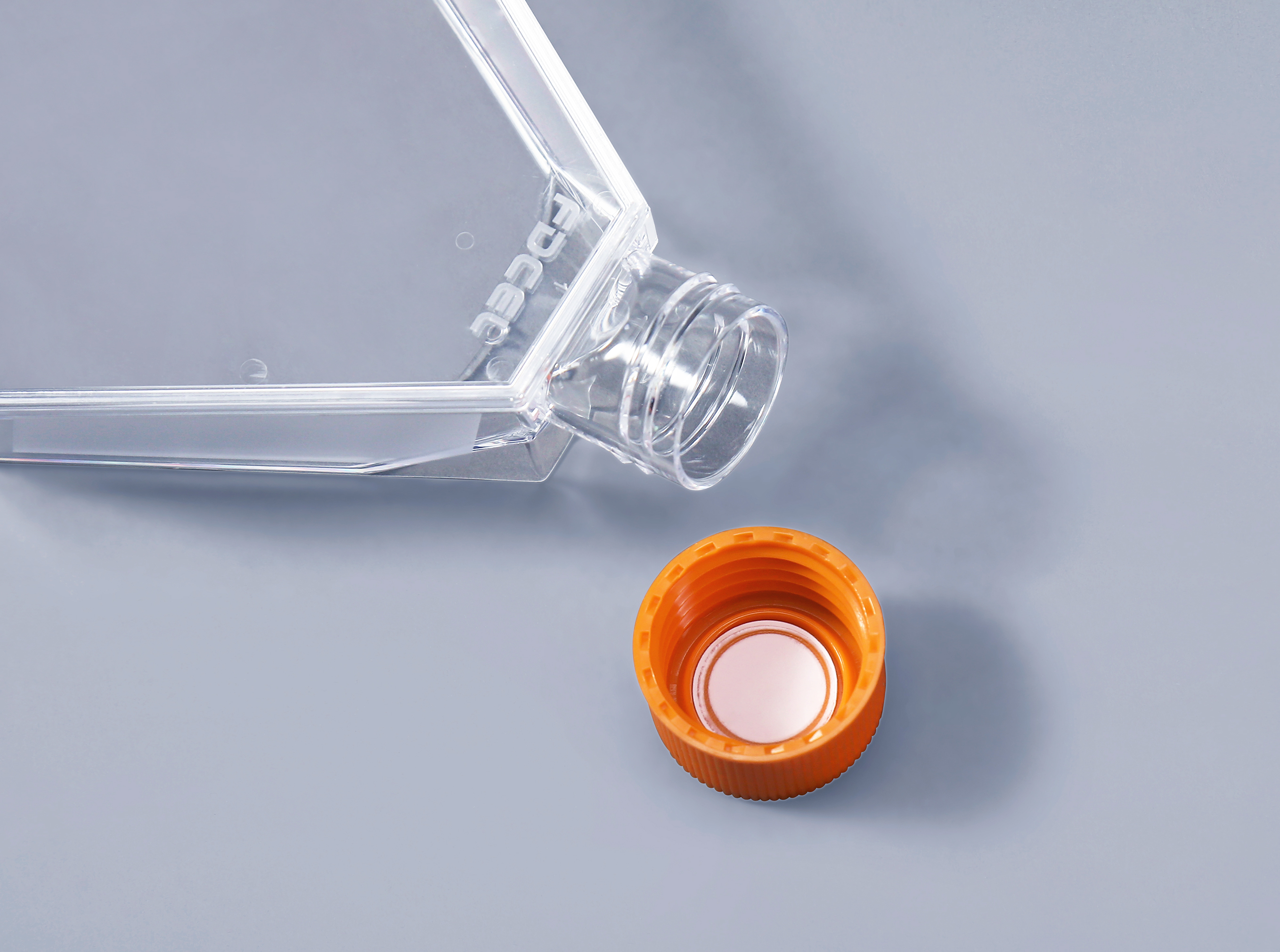 细胞培养瓶中出现支原体污染的表现_富道细胞