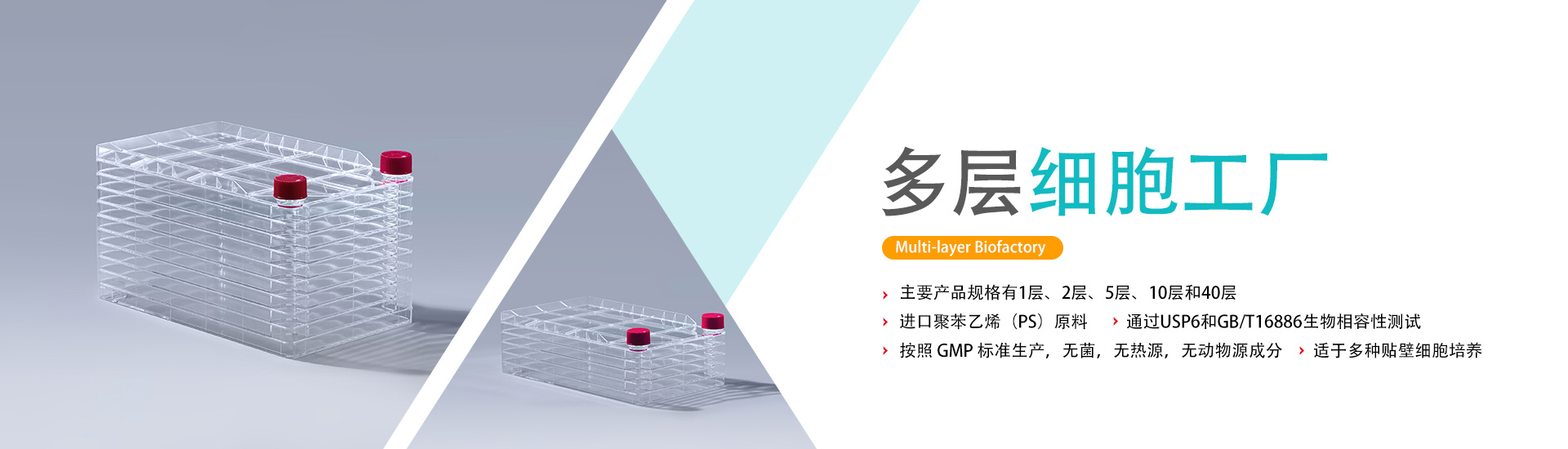 细胞培养瓶