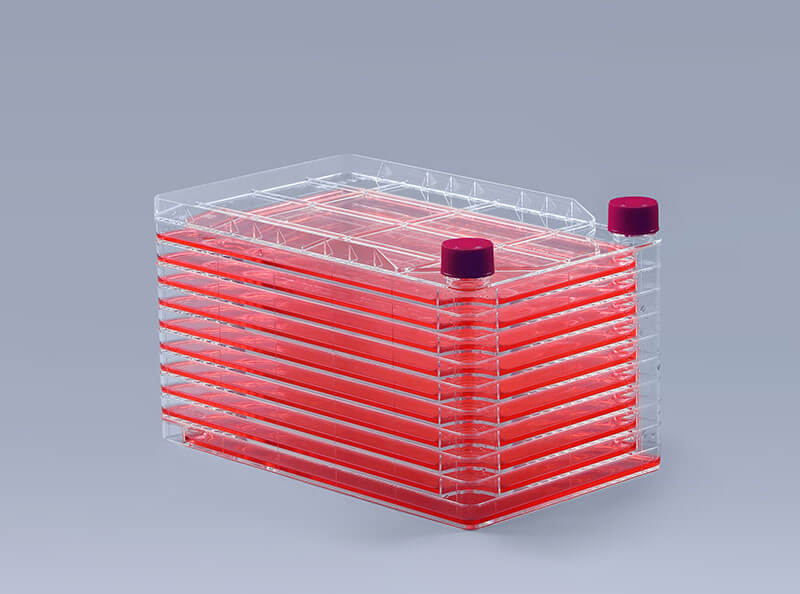 利用细胞工厂进行细胞传代_富道细胞