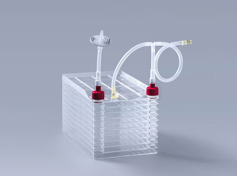 细胞工厂中出现支原体污染检测方法_富道细胞 细胞工厂中出现支原体污染检测方法_富道细胞