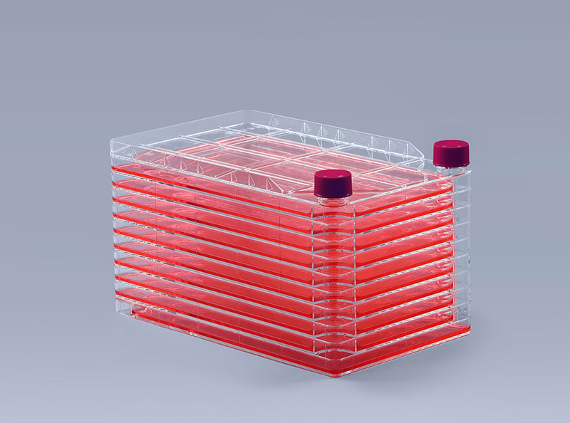 八点预防和控制细胞工厂发生支原体污染_富道细胞 八点预防和控制细胞工厂发生支原体污染_富道细胞