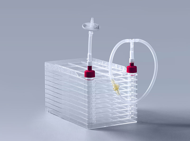 细胞工厂培养细胞时不可忽略的影响因素_富道细胞